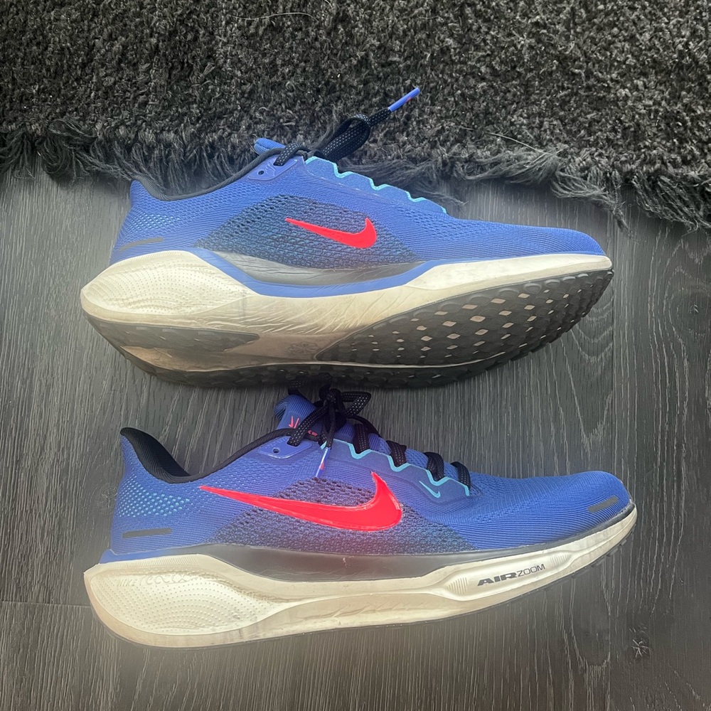 Nike air zoom Pegasus 41